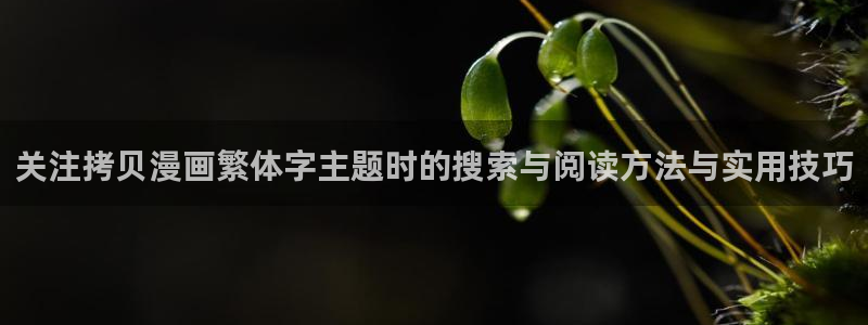 漫蛙漫画在线阅读入口